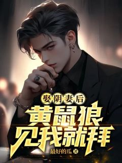 谢清贺星晨全本小说 血棺嫁妆全文免费在线阅读-随缘阅读网