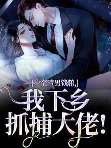 抄空渣男钱粮，我下乡抓捕大佬！小说(完本)-顾锦心林牧时无错版阅读