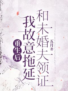 重生后，我故意拖延和未婚夫领证完整版-王世杰杨海婷在线全文阅读