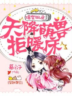 爆笑洞房：天降萌兽拒暖床完整版-苏冉冉夜翊风在线全文阅读