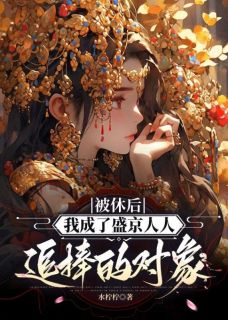 抖音热推小说被休后，我成了盛京人人追捧的对象全文在线阅读
