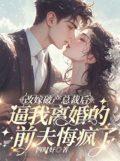 改嫁破产总裁后，逼我离婚的前夫悔疯了（苏瑾傅淮州）精彩小说目录阅读