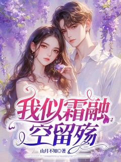 苏念沈从谦全本小说 我似霜融空留殇全文免费在线阅读
