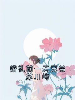 婚礼前一天兄弟苏川屿未删减阅读