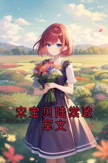 爆款小说宋宝贝陆棠政军文主角宋钦雪陆希澈全文在线完本阅读-随缘阅读网