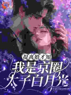 最新小说提离婚才知，我是京圈太子白月光主角宁穗季晏辞全文在线阅读