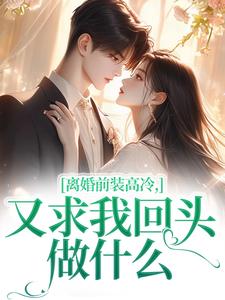 老书虫力荐离婚前装高冷，又求我回头做什么免费无弹窗阅读