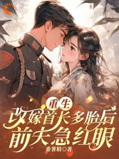 主角是徐知欢袁清安的小说-重生改嫁首长多胎后，前夫急红眼完整章节阅读