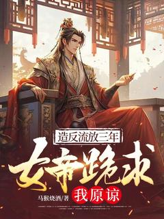 造反流放三年，女帝跪求我原谅完整版-秦术慕容婵在线全文阅读