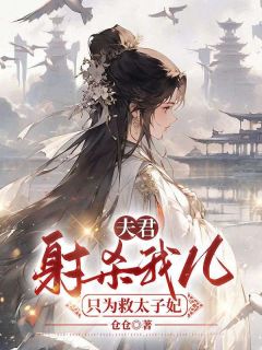 百度贴吧小说夫君为救被挟持的太子妃，主角阿锦衡儿傅原全文免费