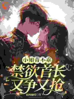 钓到渣男前夫的上司后，他跪求放过全文目录-苏锦萧云锋小说无弹窗阅读