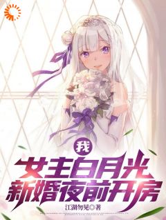 沈宴清陆柯小说结局