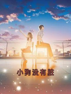小狗没有脏温岁沈域全章节在线阅读