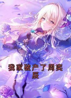 我家破产了周奕辰完整版免费阅读，周奕辰薛凯小说大结局在哪看