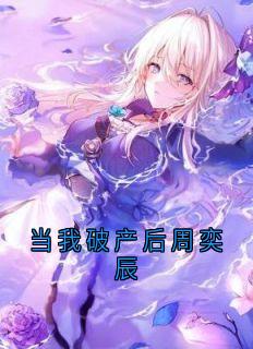 周奕辰薛凯当我破产后周奕辰完结版小说全文免费阅读