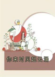 精品小说你来时风起云涌全文目录畅读