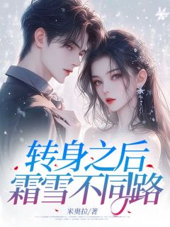 转身之后，霜雪不同路小说全集(陆诗晴江辰风)无弹窗广告阅读