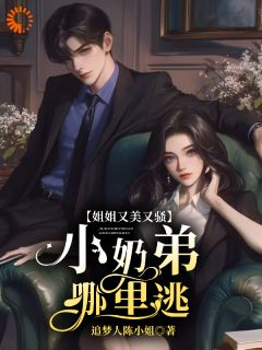 美女总裁被追尾？小奶狗以身相许！主角是宋明月向阳小说百度云全文完整版阅读
