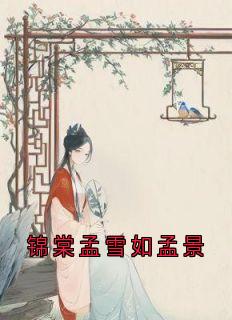 锦棠孟雪如孟景小说的书名是什么-随缘阅读网