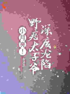 小月亮！野痞太子爷深度沦陷小说-慕染宴岑舟谢珺全篇阅读