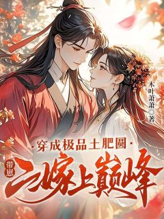 穿成极品土肥圆，带崽二嫁上巅峰(新书)小说_程拾娘李大头阅读