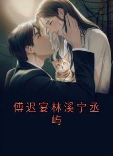 抖音林溪傅迟宴小说叫什么名字