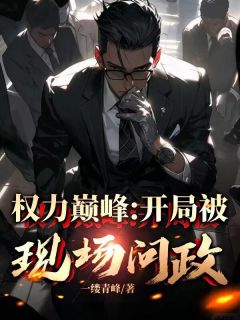 权力巅峰：开局被现场问政小说免费版阅读抖音热文-随缘阅读网