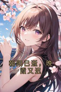 抖音朝阳已逝，晚霞又迟小说章节阅读