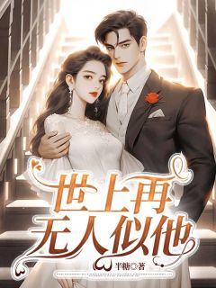 (精品)世上再无人似他小说