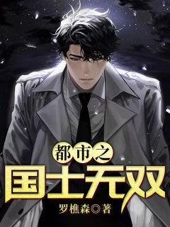 都市之国士无双小说(完本)-罗天堑顾伊人无错版阅读