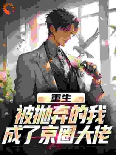 重生:被抛弃的我成了京圈大佬江南顾北舟免费全章节目录阅读-随缘阅读网