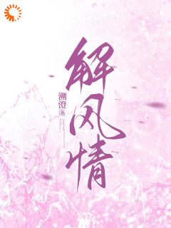 解风情by付宁盛泽恺在线阅读