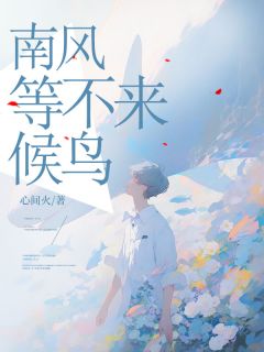 南风等不来候鸟by沈南风顾安南在线阅读