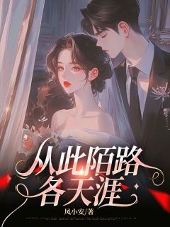 书荒必备温言初贺行舟小说