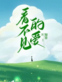 时逸许忆安小说抖音热文看不见的爱完结版-随缘阅读网