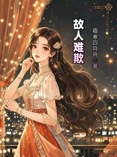 故人难欺小说主角是沈颜苏向南全文完整版阅读