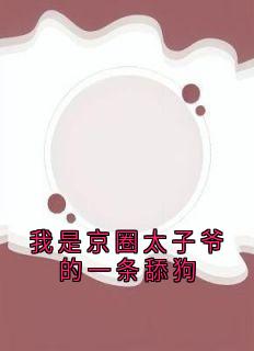 免费完结小说我是京圈太子爷的一条舔狗王丁咛言子盛白思思无弹窗免费阅读