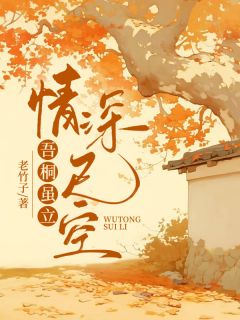 梧桐虽立，情深已空小说的书名是什么