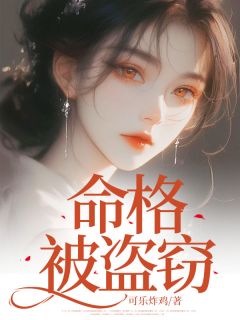 可乐炸鸡的小说命格被盗窃全文阅读