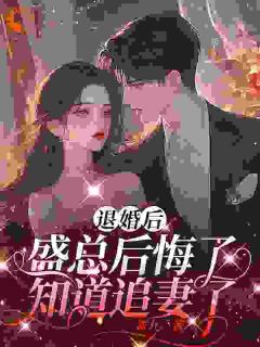 退婚后,盛总后悔了,知道追妻了小说(完本)-夏暖听盛越无错版阅读-随缘阅读网