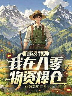书荒必备张花城王琳小说