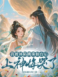 栖月沉霄玉珠小说我被诬陷跳诛仙台后，上神悔哭了免费阅读-随缘阅读网