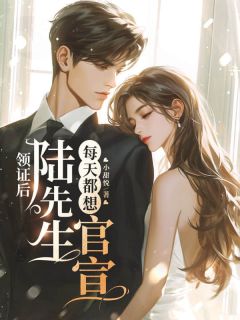 领证后，陆先生每天都想官宣小说-秦烟陆前川全篇阅读