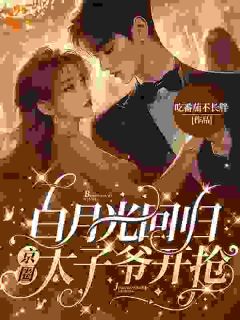 京圈太子爷疯了!抢婚竟是蓄谋已久抖音全本小说陆妄辞虞晚颜抖音免费章节阅读-随缘阅读网
