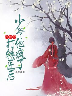 知乎小说我嫁给打铁匠后，少爷他疯了主角是李锡怜儿全文阅读