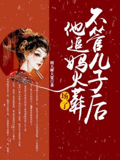 不管儿子后他追妈火葬场了by雨天睡大觉(宋安宁裴珏)未删节免费阅读