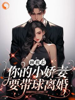 傲娇小妻带球跑，机长追爱不停歇小说(完结版)-徐歆薇顾予琛在线阅读
