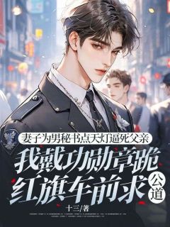 主角顾秋苏慕雪小说爆款妻子为男秘书点天灯逼死父亲，我戴功勋章跪红旗车前求公道完整版小说