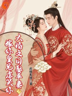 免费完结小说新婚日抬平妻？飒爽世子妃休夫再嫁乔汐月宇文墨无弹窗免费阅读