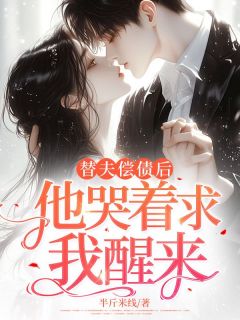 (独家)替夫偿债后他哭着求我醒来沈念秦宵顾景行小说
